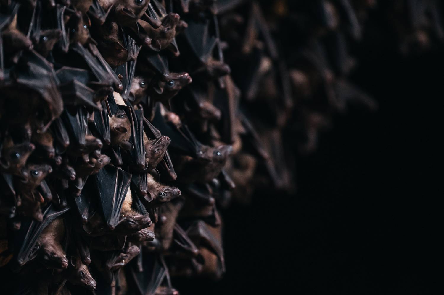 Фотография #11886699