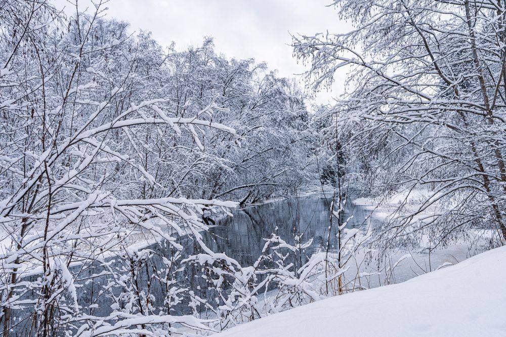 Photograph by Людмила Щепилова