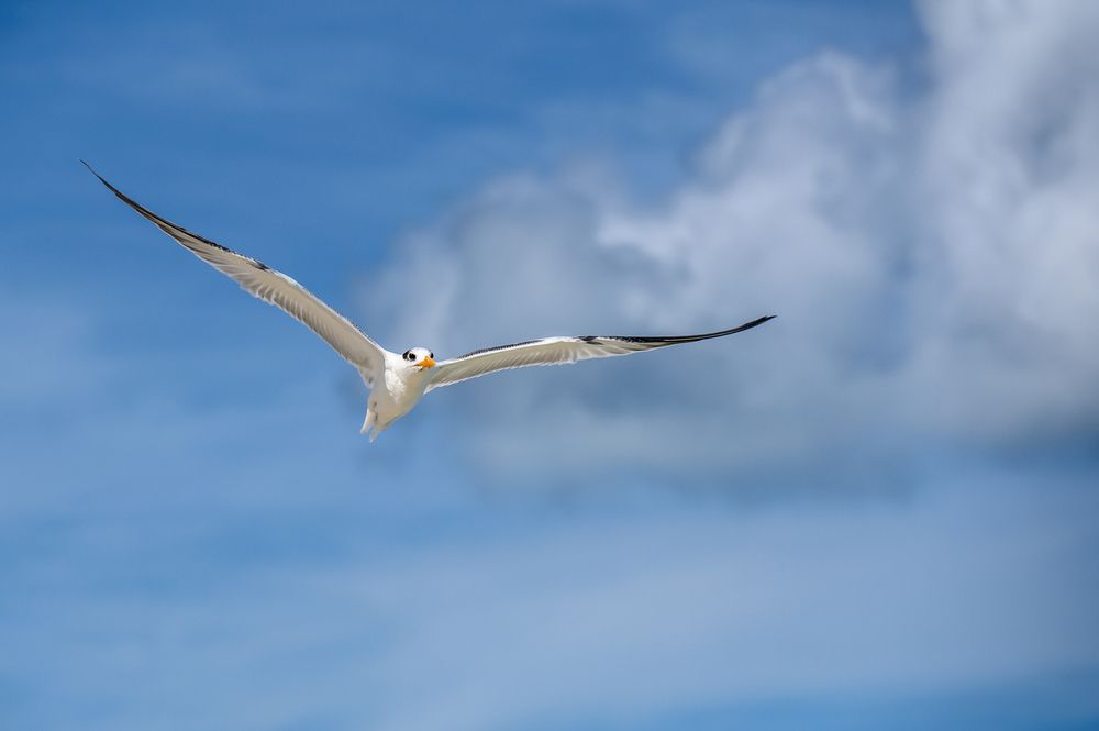 Photograph by Вячеслав Белов