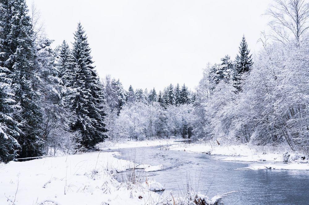 Photograph by Людмила Щепилова