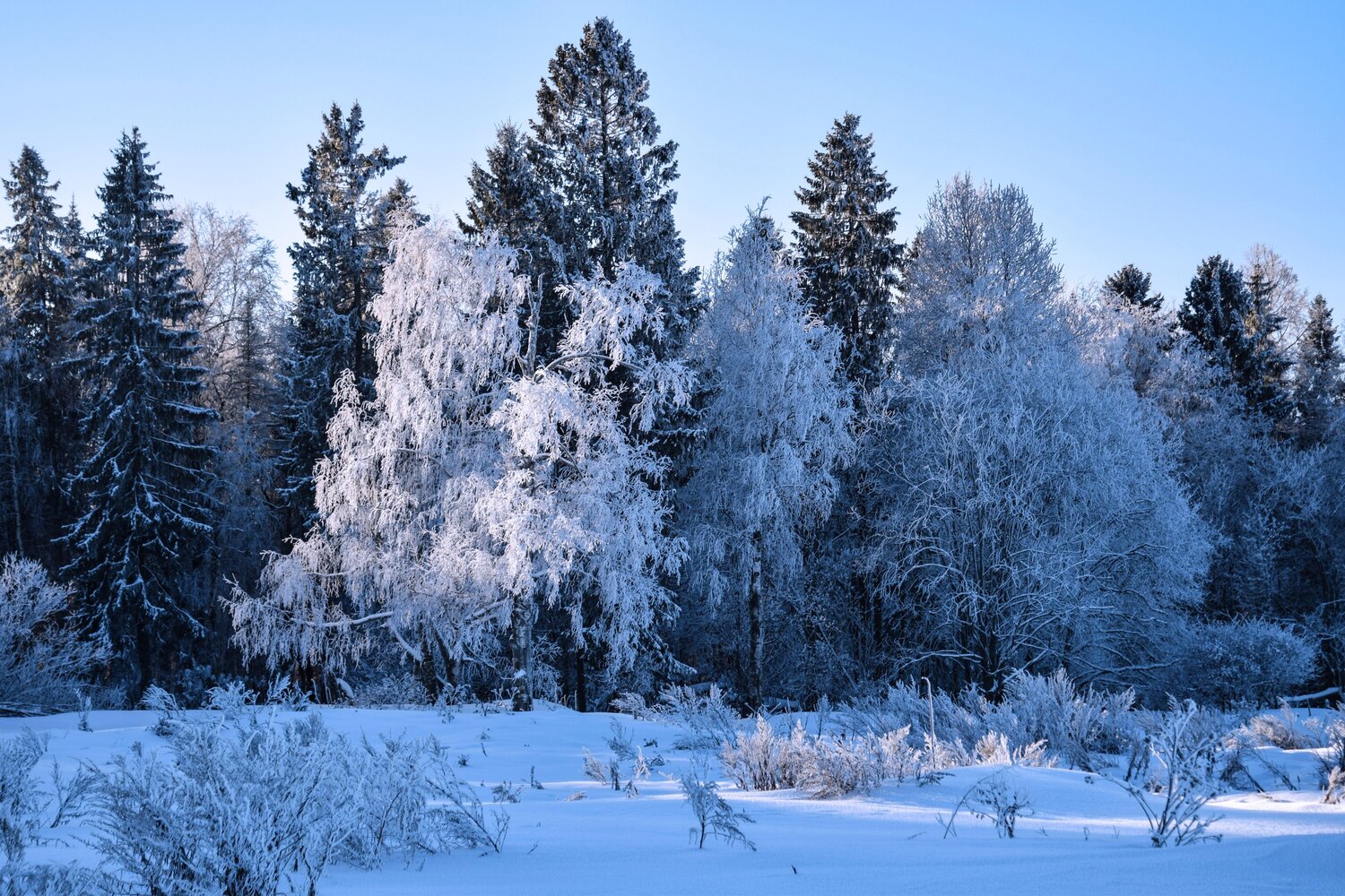 Photo #11886750