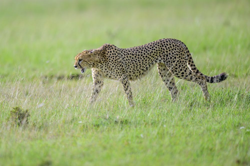 Photograph by Пупонин Сергей