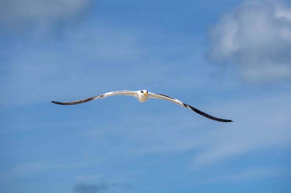 Photograph by Вячеслав Белов