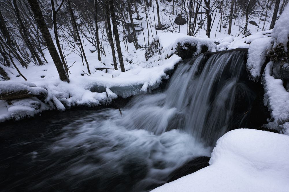 Photograph by K_ Tsunoda