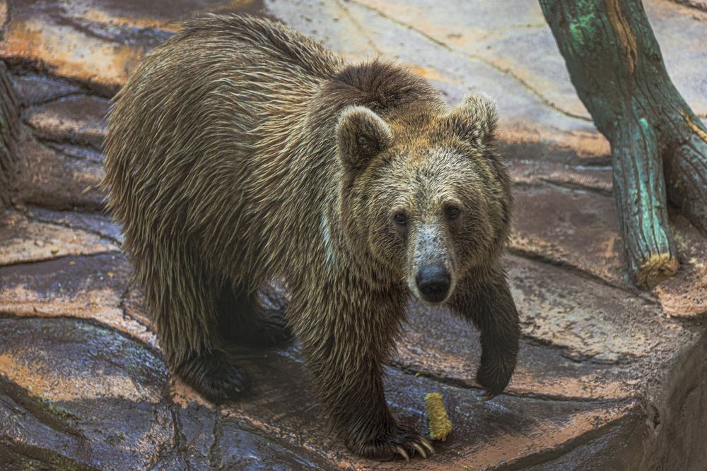 Фотография автора Ilona Pokrovskaya