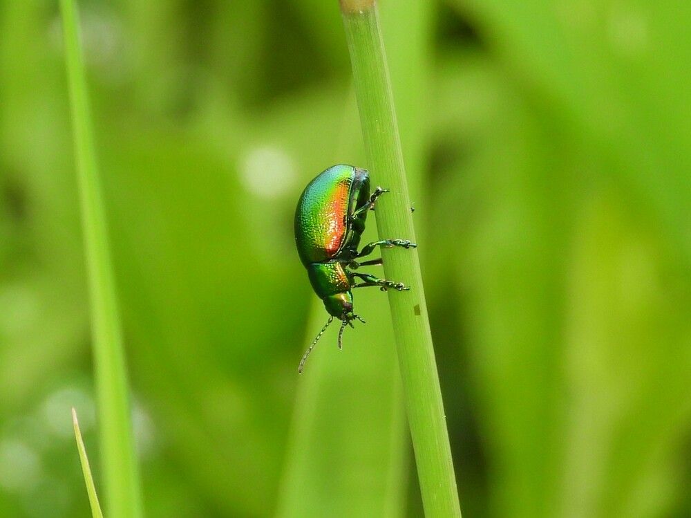 Photograph by Владимир Джерихов