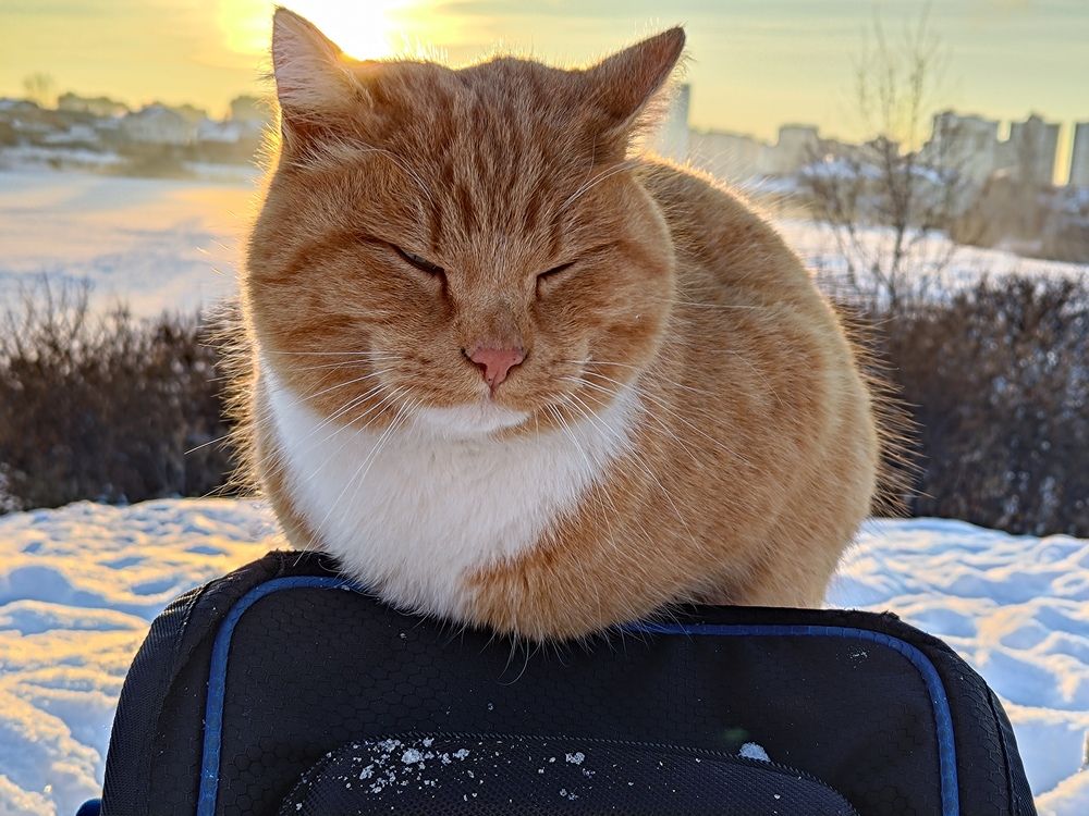 Photograph by Константин Степанов