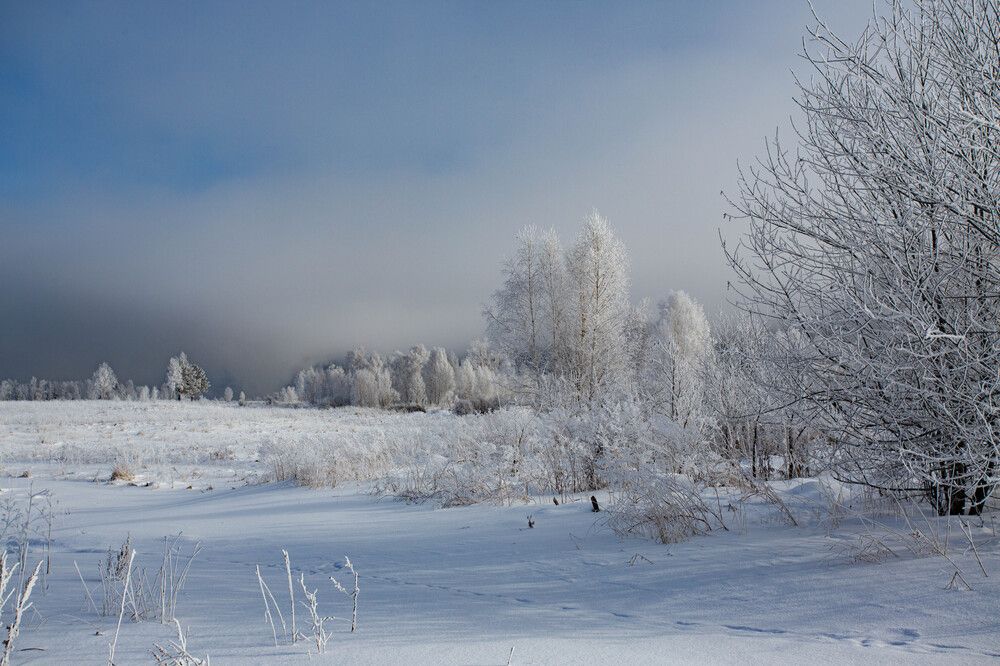 Photograph by Евгений Авдеев