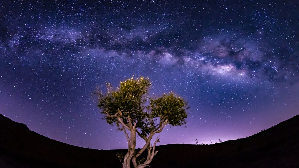 Photograph by Mahendra Pratap Singh