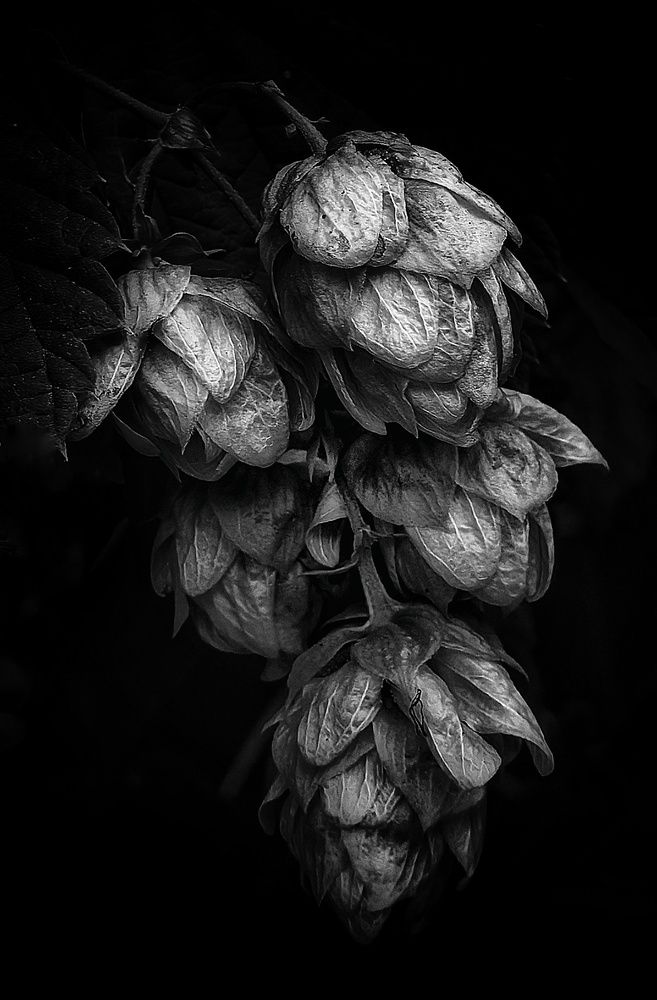 Photograph by Оксана Севостьянова