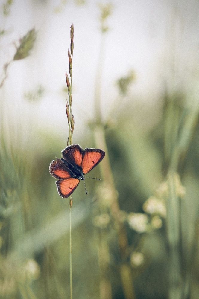 Photograph by Евстратова Оксана