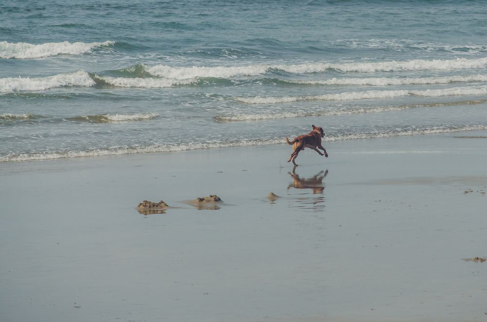 Photograph by Юлия Подлеснова