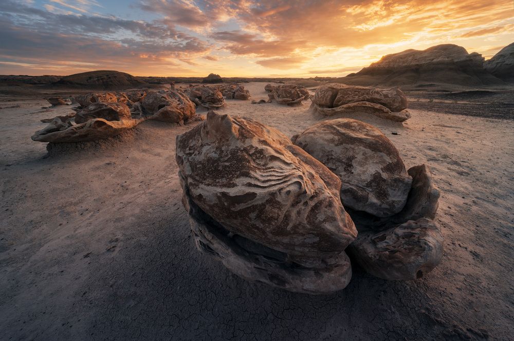 Photograph by Daniel Viñé Garcia