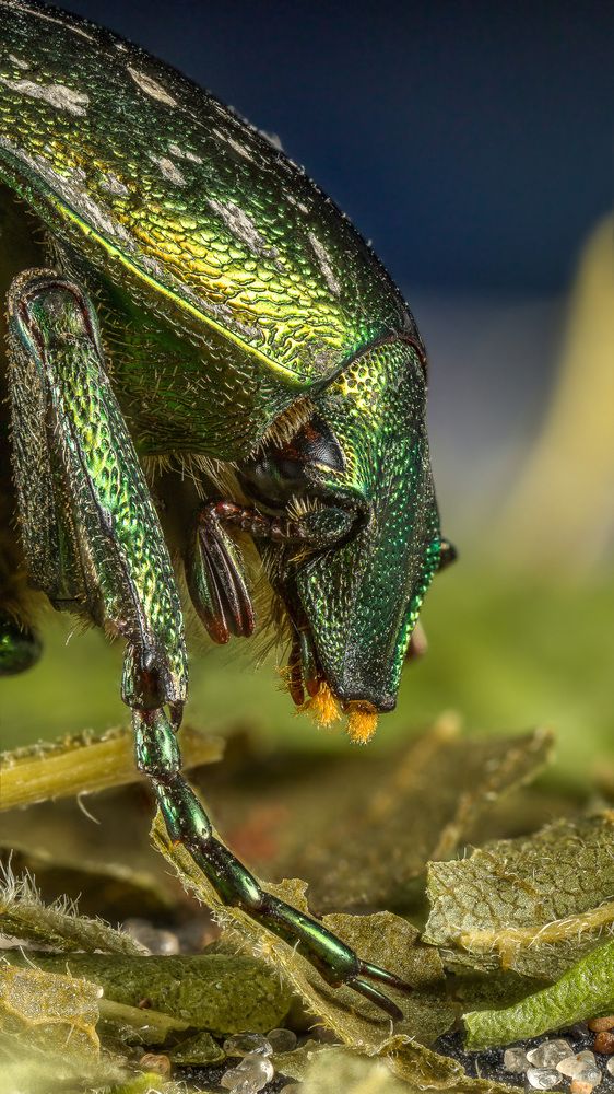 Photograph by Андрей Кривов