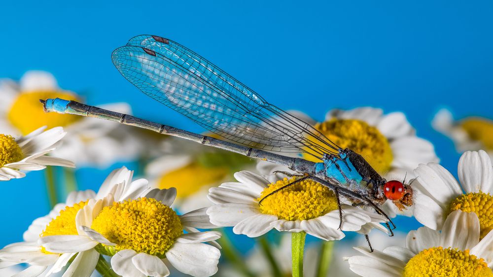 Photograph by Андрей Кривов