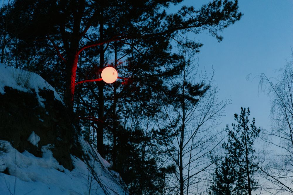 Photograph by София Онегина