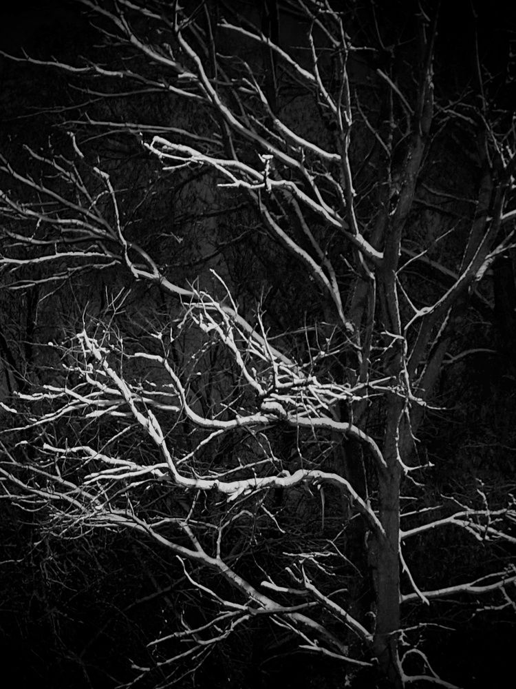 Photograph by Евгений Никонов