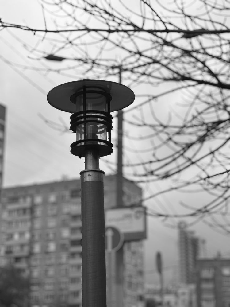 Photograph by Евгений Никонов