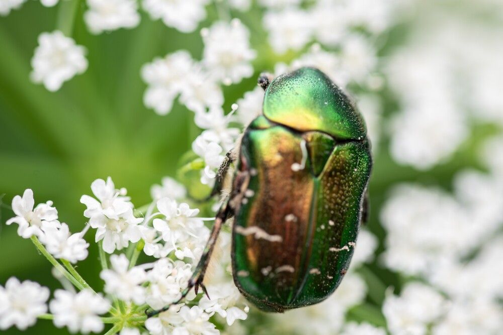 Photograph by Ксения Шилина