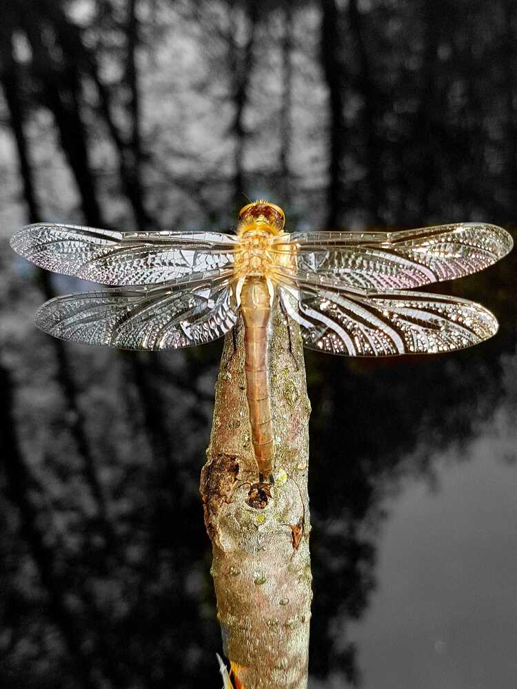 Photograph by Егор Жук