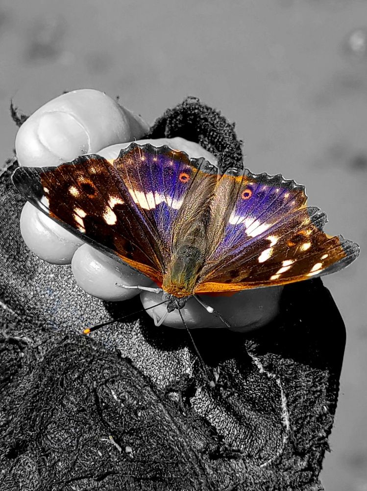 Photograph by Егор Жук