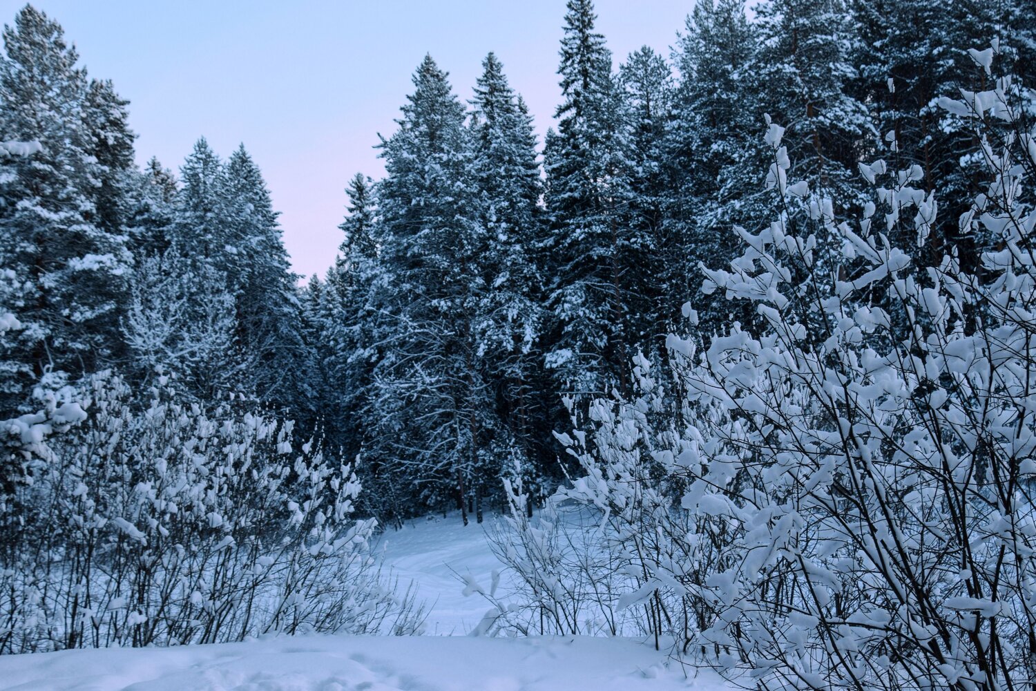 Photo #11886934