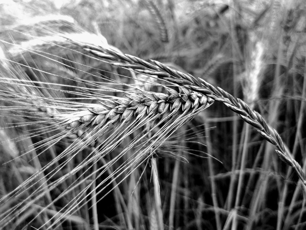 Фотография автора Дмитрий Лазаренко