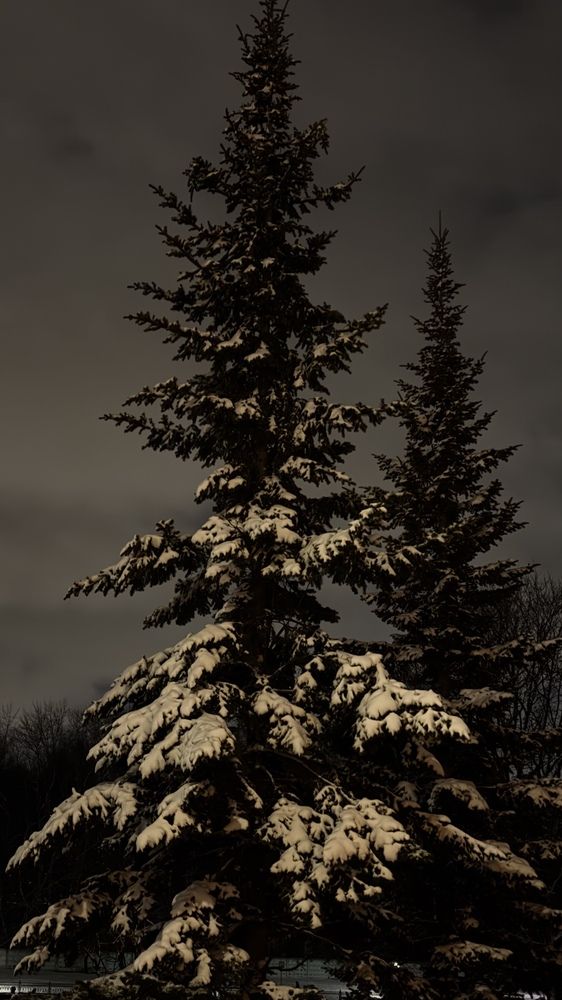 Photograph by Евгений Никонов