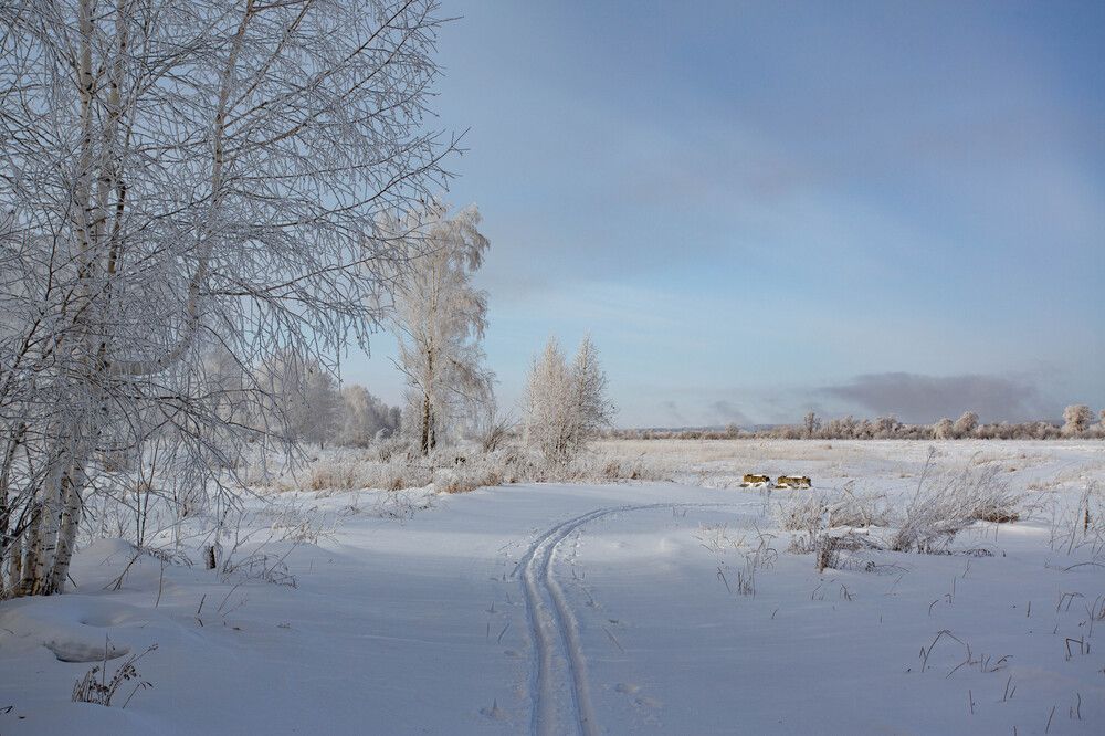 Photograph by Евгений Авдеев