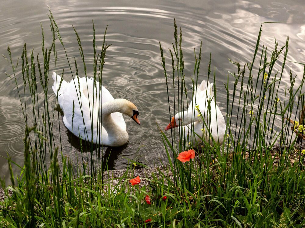 Photograph by Юрий