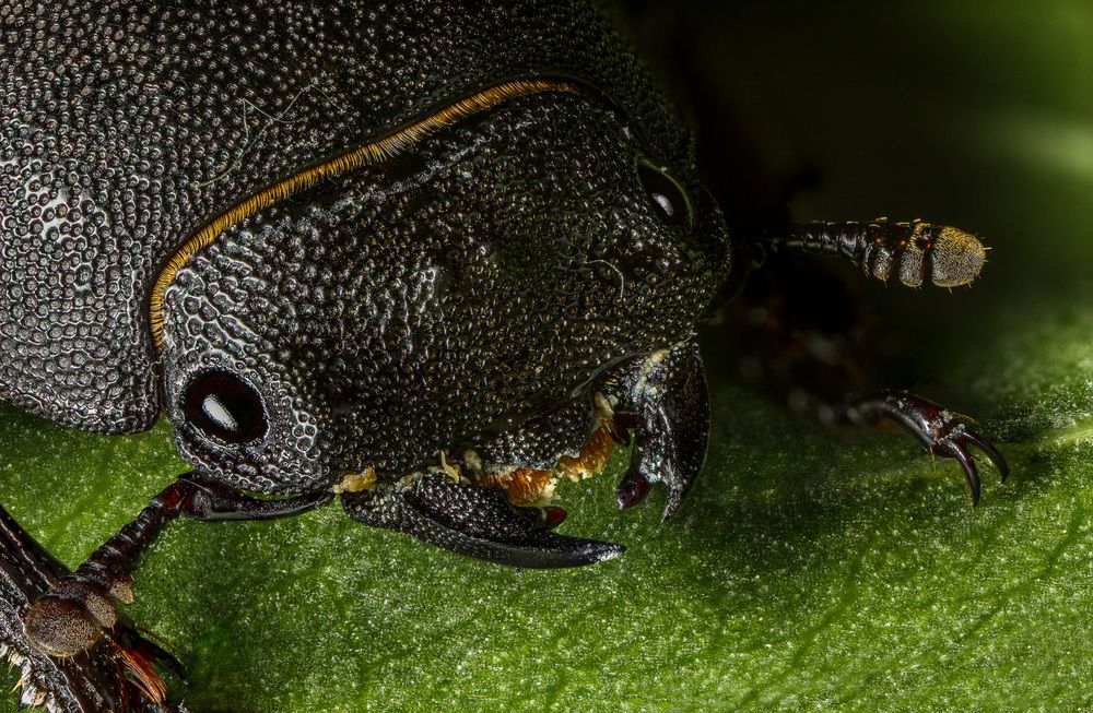 Photograph by Андрей Кривов