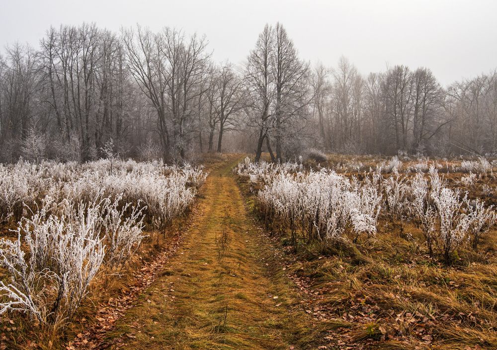 Photograph by Илфир Исламгазин