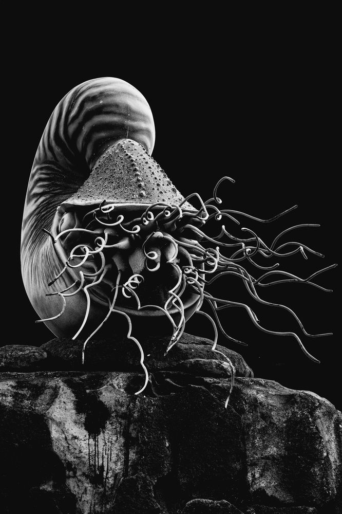 Photograph by Елена Ласун