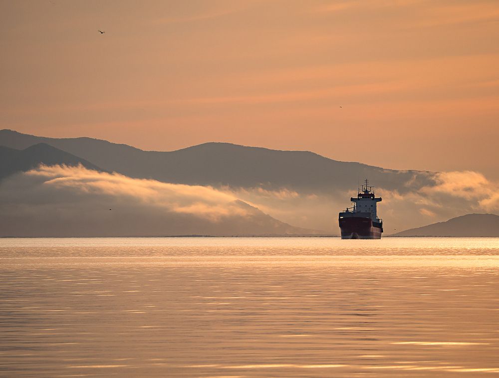 Photograph by Матвей Матвеев