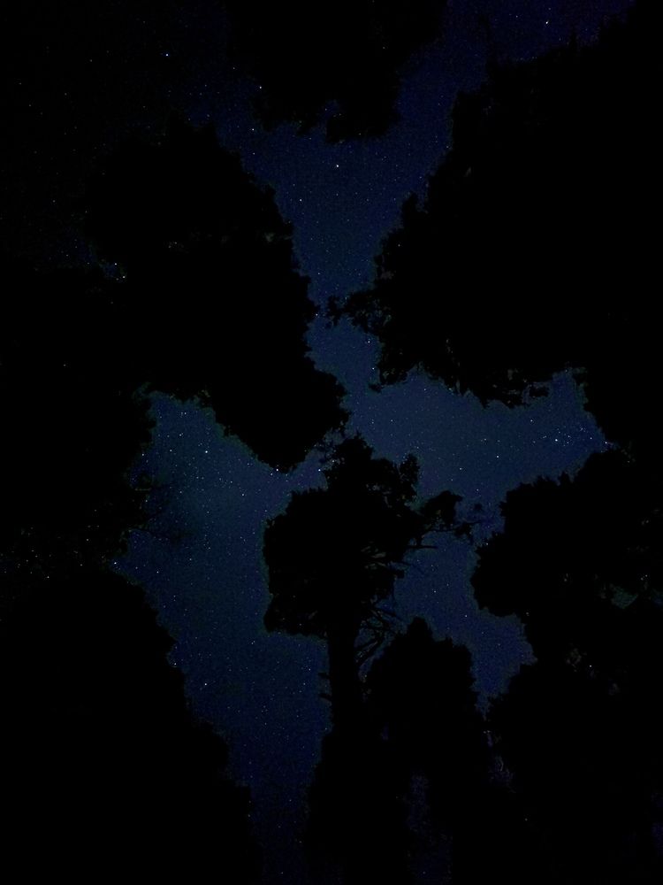 Photograph by Евгений Никонов