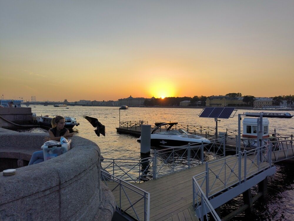 На закате дня на Адмиралтейской набережной в Санкт-Петербурге девушка кормит ворона