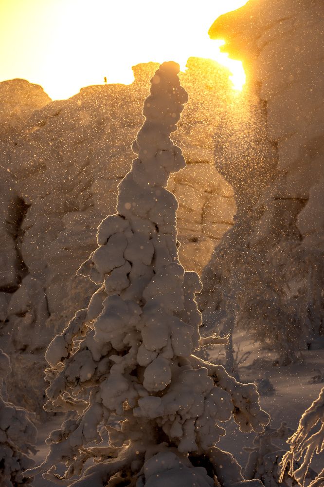 Фотография автора Светлана Зимина