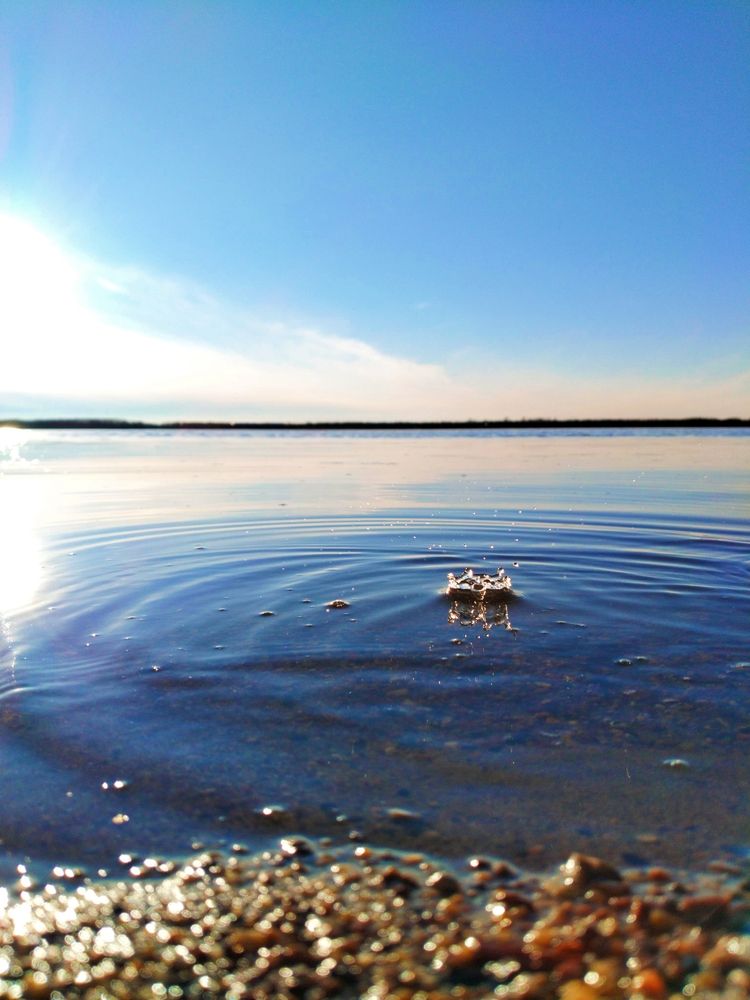 Photo #11887117