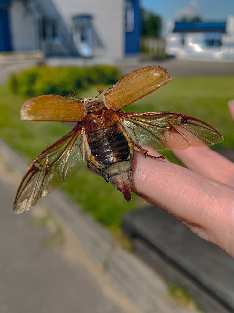 Фотография автора Юлия Дударёнок