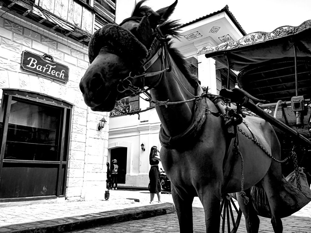 Photograph by Rowell Timoteo