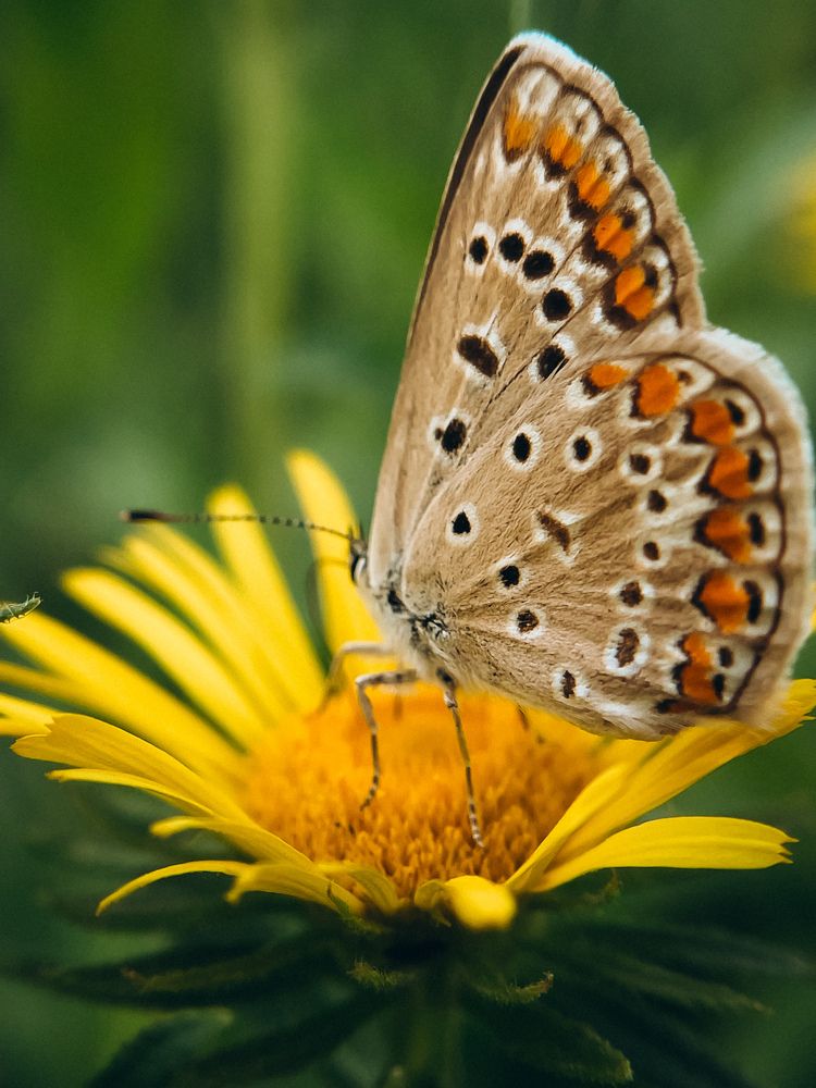 Photograph by Екатерина