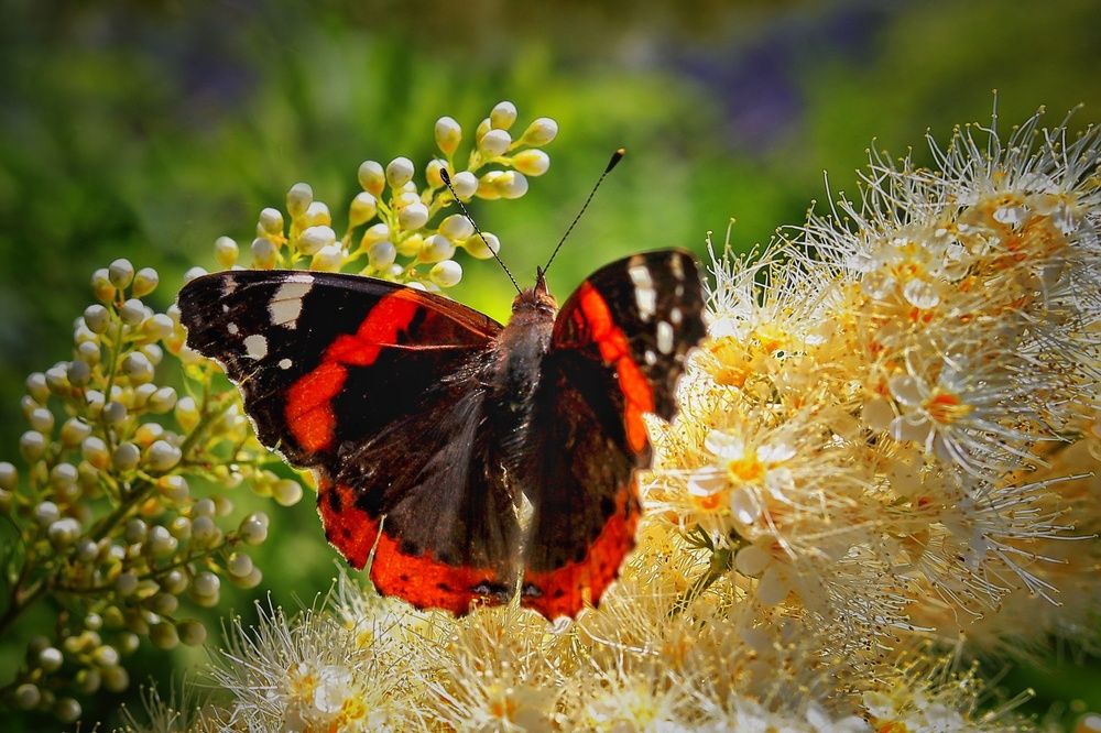 Photograph by Татьяна Бравая