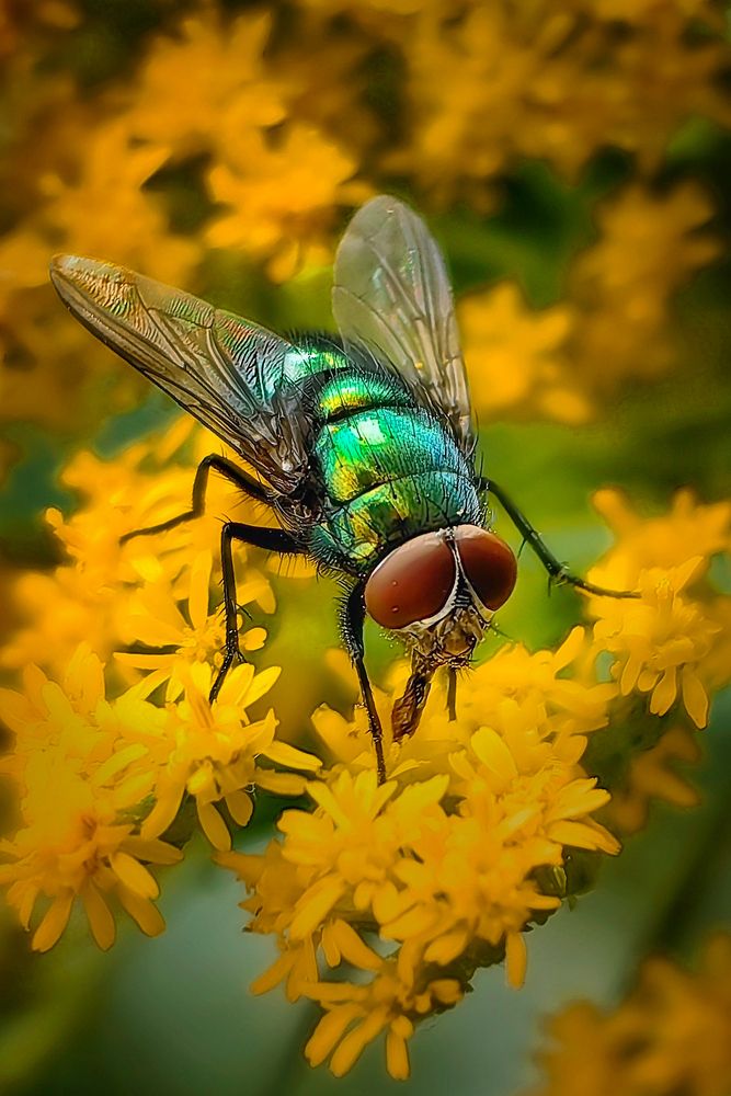 Немного попозировала.