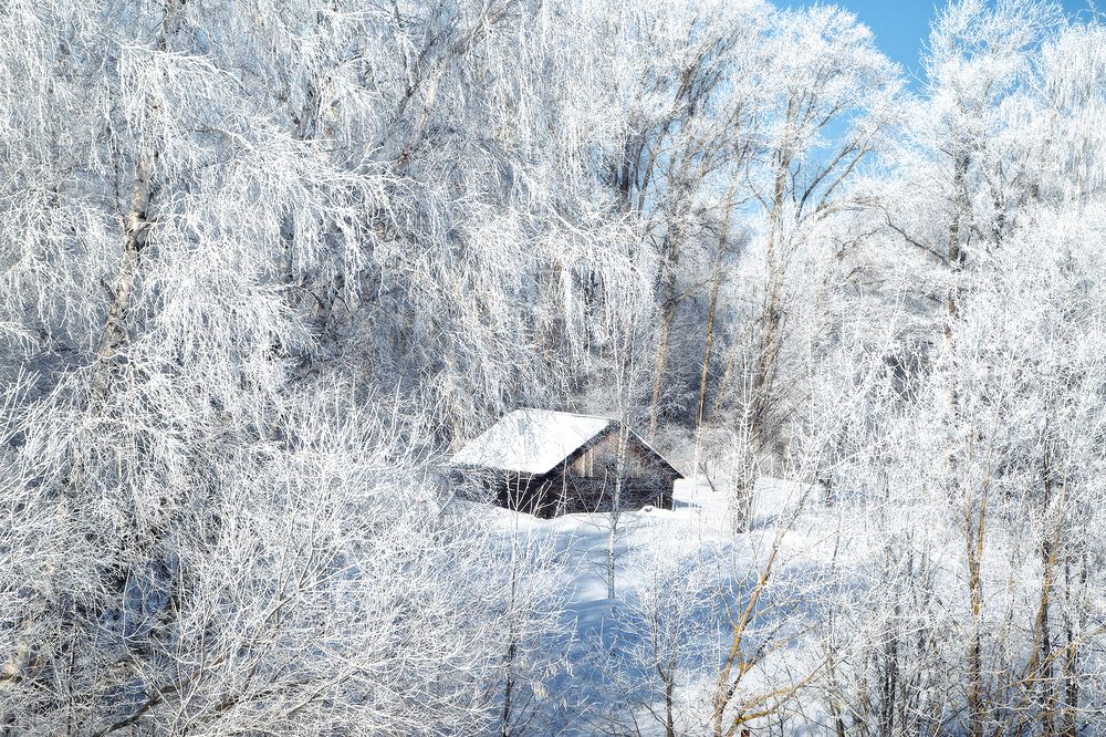 Photograph by Макаров Роман