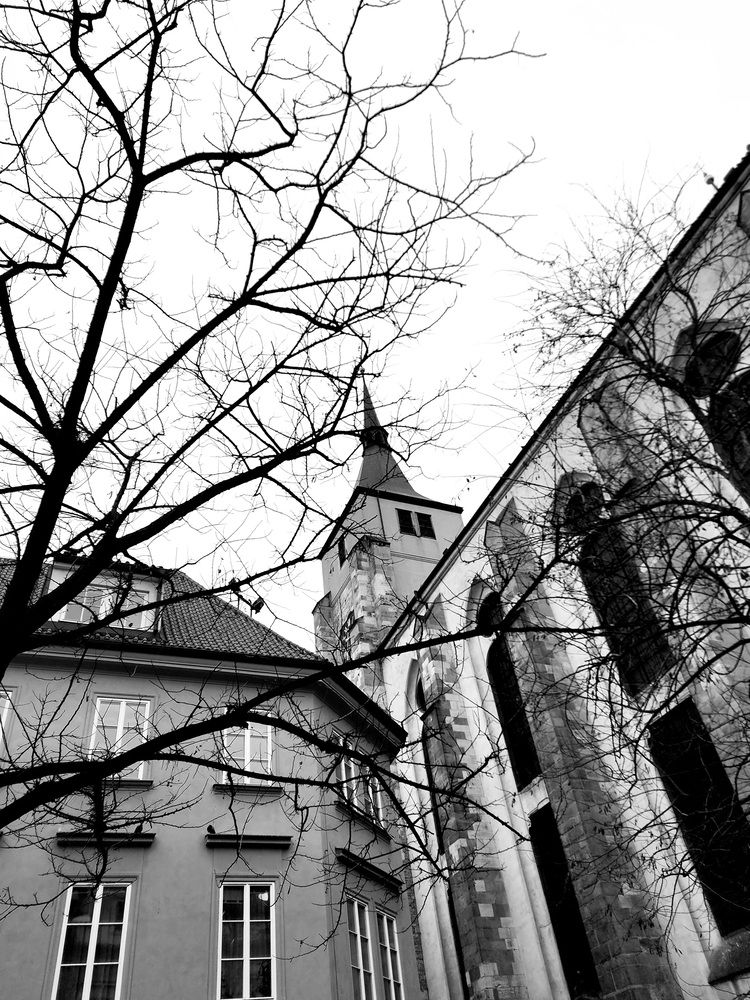 Фотография автора Galina Israilov