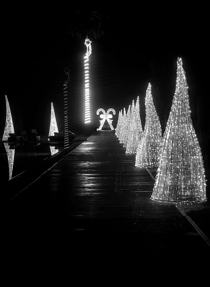 Photograph by Jegatheeswaran Mohanakirushanth