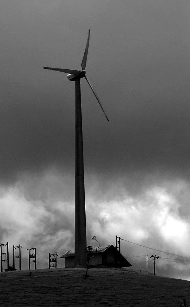 Photograph by Jegatheeswaran Mohanakirushanth