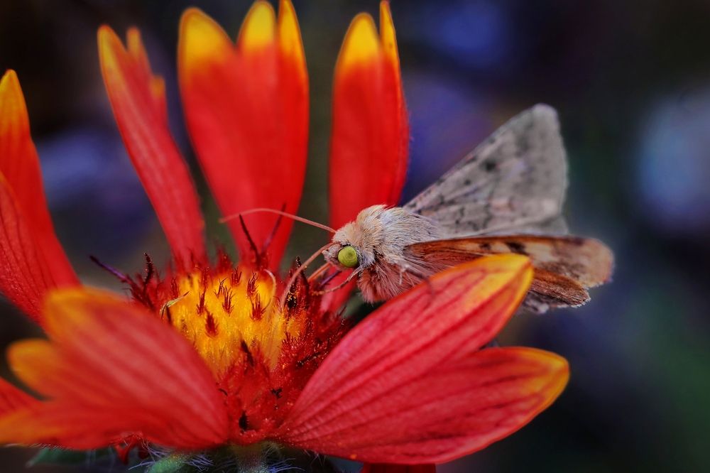 Photograph by Татьяна Бравая