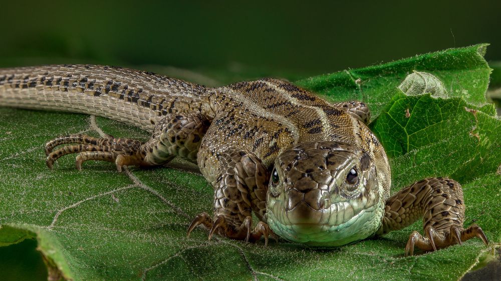 Photograph by Андрей Кривов