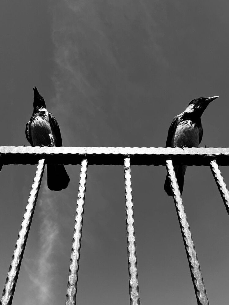 Photograph by Оксана Соколова